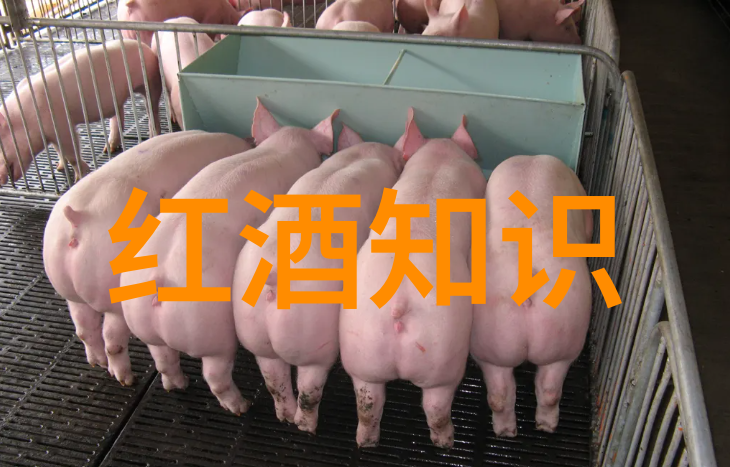 葡萄酒有保质期吗红酒放10年就过期了吗红酒保质期多久